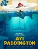 Ayı Paddington