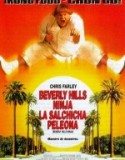 Beverly Hills Ninja